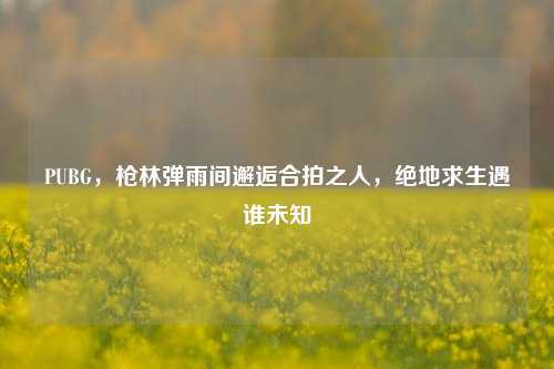 PUBG,枪林弹雨间邂逅合拍之人,绝地求生遇谁未知