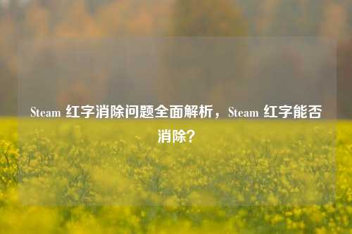 Steam 红字消除问题全面解析，Steam 红字能否消除？