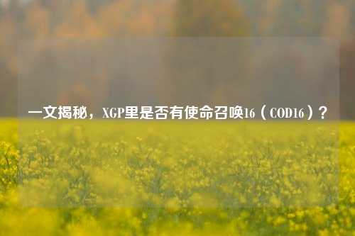 一文揭秘,XGP里是否有使命召唤16(COD16)?