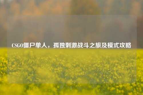 CSGO僵尸单人,孤独刺激战斗之旅及模式攻略