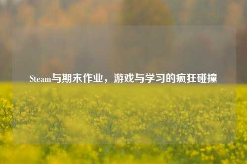 Steam与期末作业,游戏与学习的疯狂碰撞