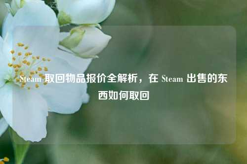 Steam 取回物品报价全解析,在 Steam 出售的东西如何取回