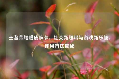 王者荣耀赠皮肤卡，社交新纽带与游戏新乐趣，使用方法揭秘