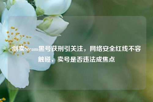 倒卖Steam黑号获刑引关注，网络安全红线不容触碰，卖号是否违法成焦点