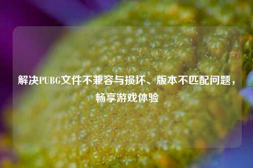 解决PUBG文件不兼容与损坏、版本不匹配问题,畅享游戏体验