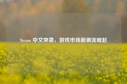 Steam 中文突袭,游戏市场新潮流崛起