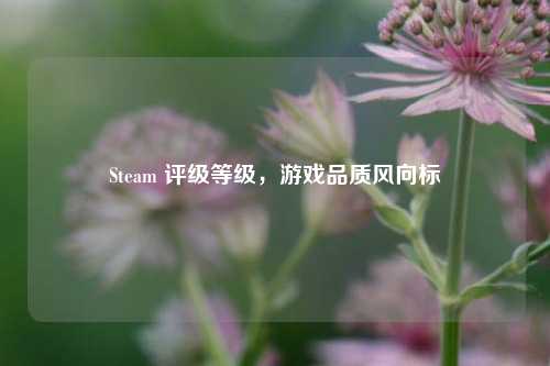 Steam 评级等级,游戏品质风向标