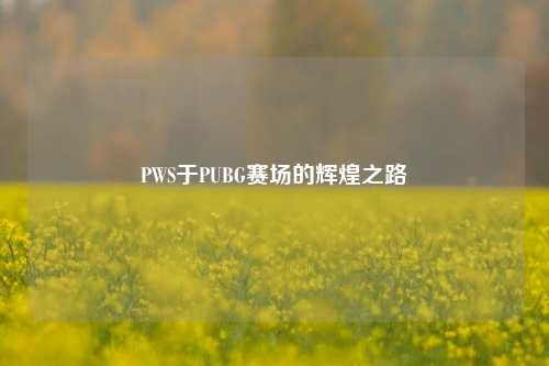 PWS于PUBG赛场的辉煌之路