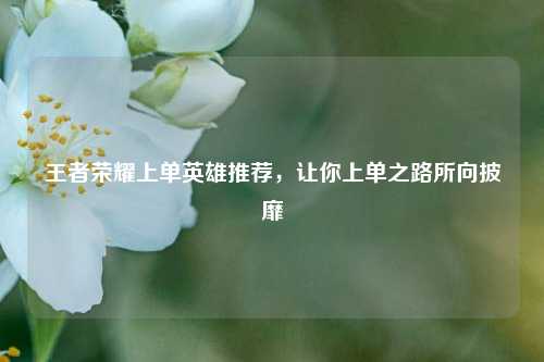 王者荣耀上单英雄推荐，让你上单之路所向披靡