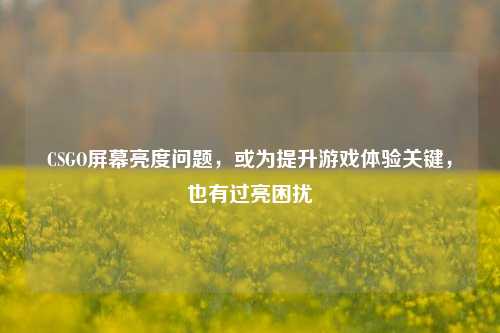 CSGO屏幕亮度问题,或为提升游戏体验关键,也有过亮困扰