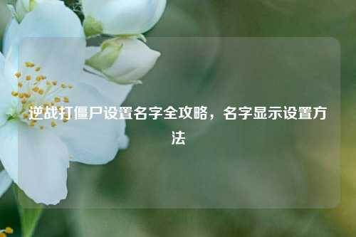 逆战打僵尸设置名字全攻略,名字显示设置方法