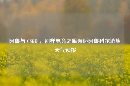 阿鲁与 CSGO ，别样电竞之旅邂逅阿鲁科尔沁旗天气预报