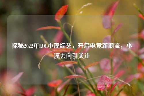 探秘2022年LOL小漠综艺,开启电竞新潮流,小漠去向引关注