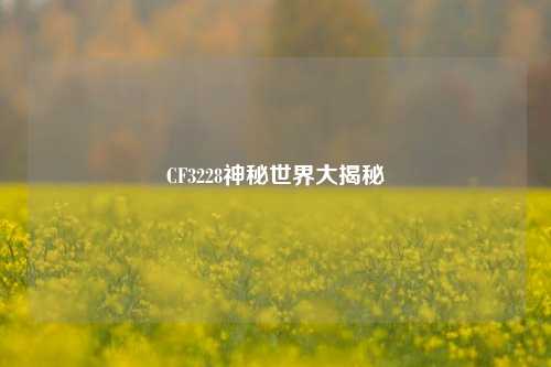 CF3228神秘世界大揭秘