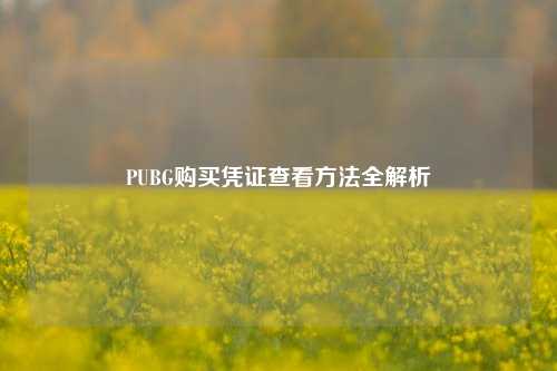 PUBG购买凭证查看方法全解析