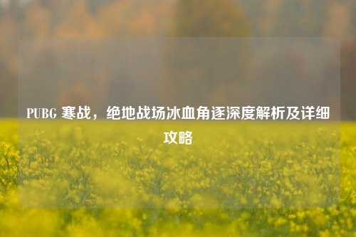 PUBG 寒战，绝地战场冰血角逐深度解析及详细攻略