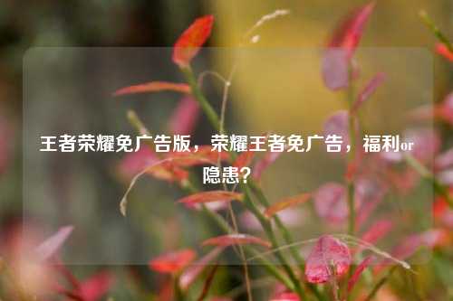 王者荣耀免广告版,荣耀王者免广告,福利or隐患?