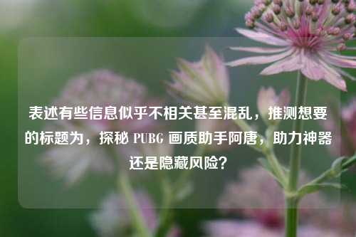 表述有些信息似乎不相关甚至混乱,推测想要的标题为,探秘 PUBG 画质助手阿唐,助力神器还是隐藏风险?