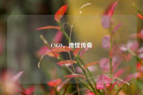 CSGO,渣怪传奇