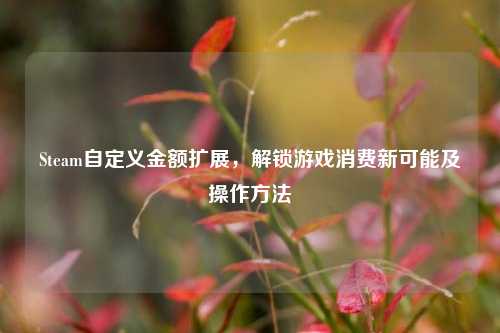 Steam自定义金额扩展,解锁游戏消费新可能及操作方法