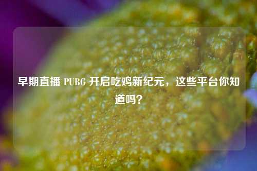早期直播 PUBG 开启吃鸡新纪元,这些平台你知道吗?