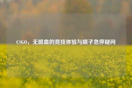 CSGO,无喷血的竞技体验与喷子急停疑问