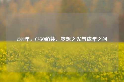 2008年,CSGO萌芽、梦想之光与成年之问