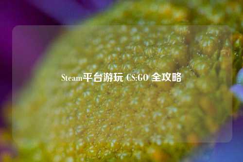 Steam平台游玩 CS:GO 全攻略