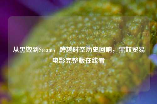 从黑奴到Steam，跨越时空历史回响，黑奴贸易电影完整版在线看