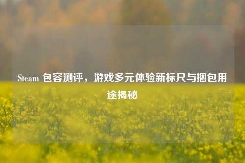 Steam 包容测评,游戏多元体验新标尺与捆包用途揭秘