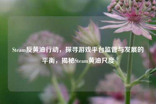 Steam反黄油行动，探寻游戏平台监管与发展的平衡，揭秘Steam黄油尺度