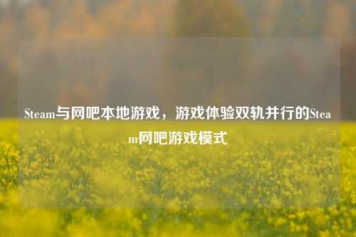 Steam与网吧本地游戏，游戏体验双轨并行的Steam网吧游戏模式