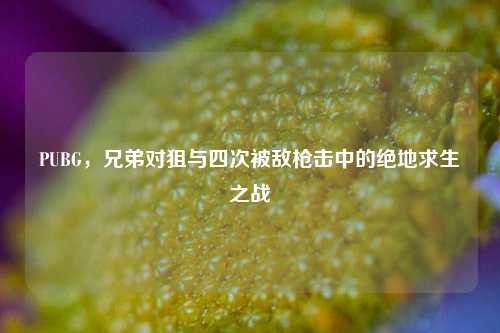 PUBG,兄弟对狙与四次被敌枪击中的绝地求生之战