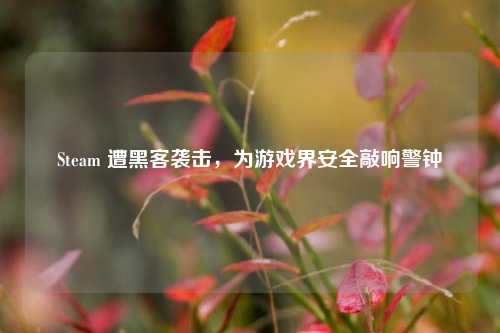 Steam 遭黑客袭击,为游戏界安全敲响警钟