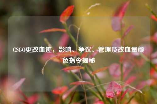 CSGO更改血迹,影响、争议、管理及改血量颜色指令揭秘