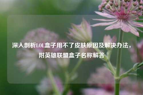 深入剖析LOL盒子用不了皮肤原因及解决办法,附英雄联盟盒子名称解答