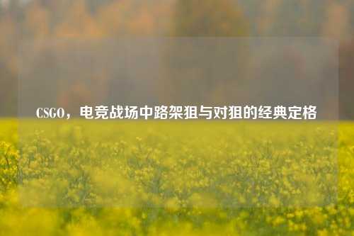 CSGO,电竞战场中路架狙与对狙的经典定格