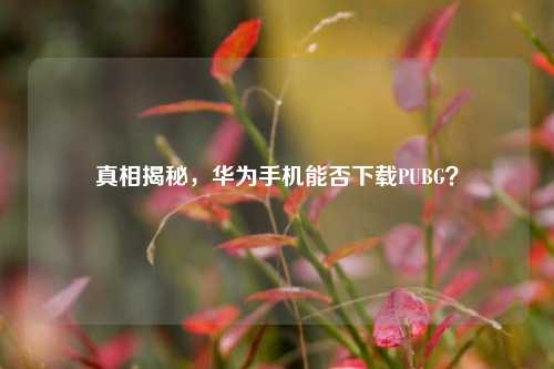 真相揭秘,华为手机能否下载PUBG?