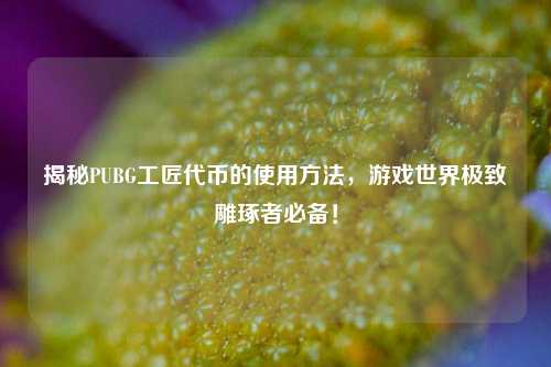揭秘PUBG工匠代币的使用方法，游戏世界极致雕琢者必备！