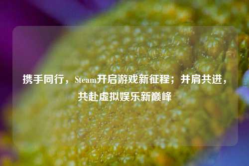 携手同行，Steam开启游戏新征程；并肩共进，共赴虚拟娱乐新巅峰