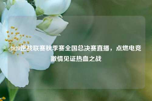 2020逆战联赛秋季赛全国总决赛直播,点燃电竞激情见证热血之战
