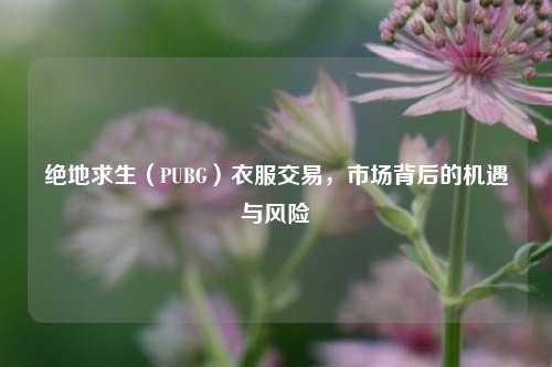 绝地求生(PUBG)衣服交易,市场背后的机遇与风险