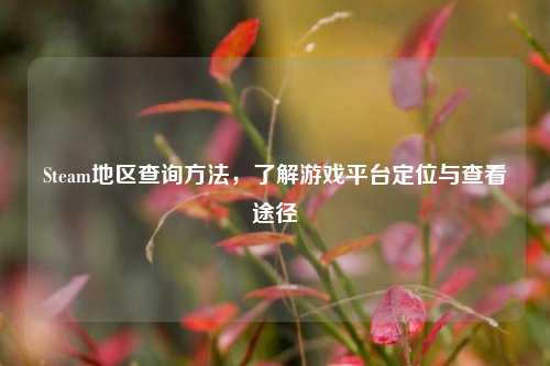 Steam地区查询方法,了解游戏平台定位与查看途径