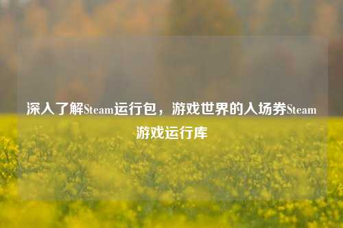 深入了解Steam运行包,游戏世界的入场券Steam游戏运行库