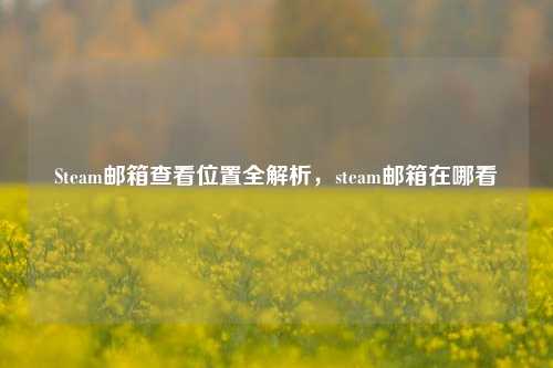 Steam邮箱查看位置全解析,steam邮箱在哪看