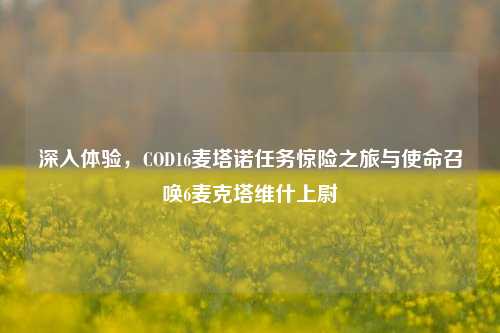 深入体验,COD16麦塔诺任务惊险之旅与使命召唤6麦克塔维什上尉