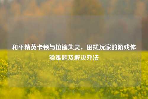 和平精英卡顿与按键失灵，困扰玩家的游戏体验难题及解决办法