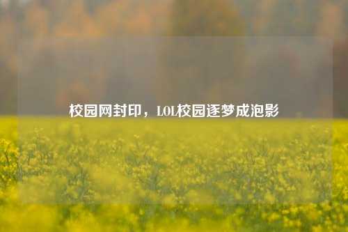 校园网封印，LOL校园逐梦成泡影