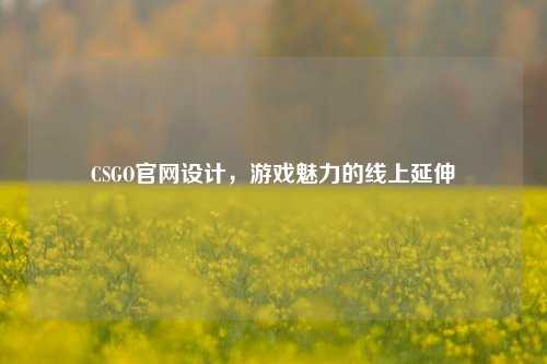 CSGO官网设计,游戏魅力的线上延伸