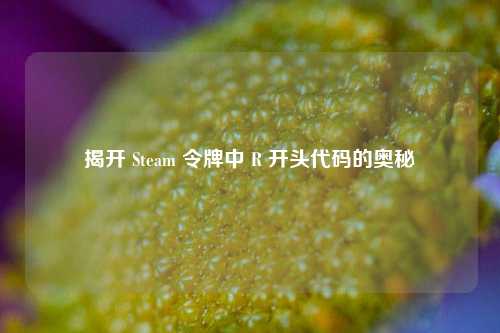 揭开 Steam 令牌中 R 开头代码的奥秘